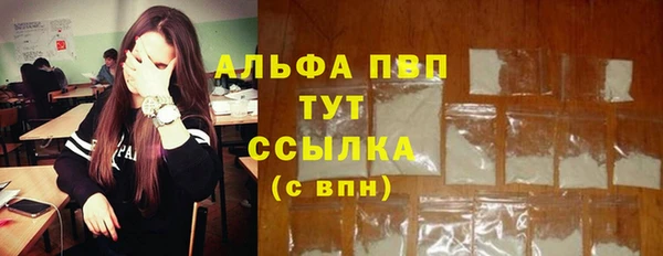 крисы Богданович