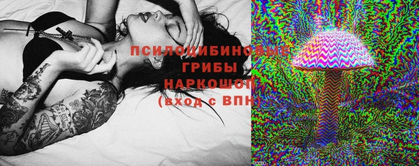 дживик Вязники