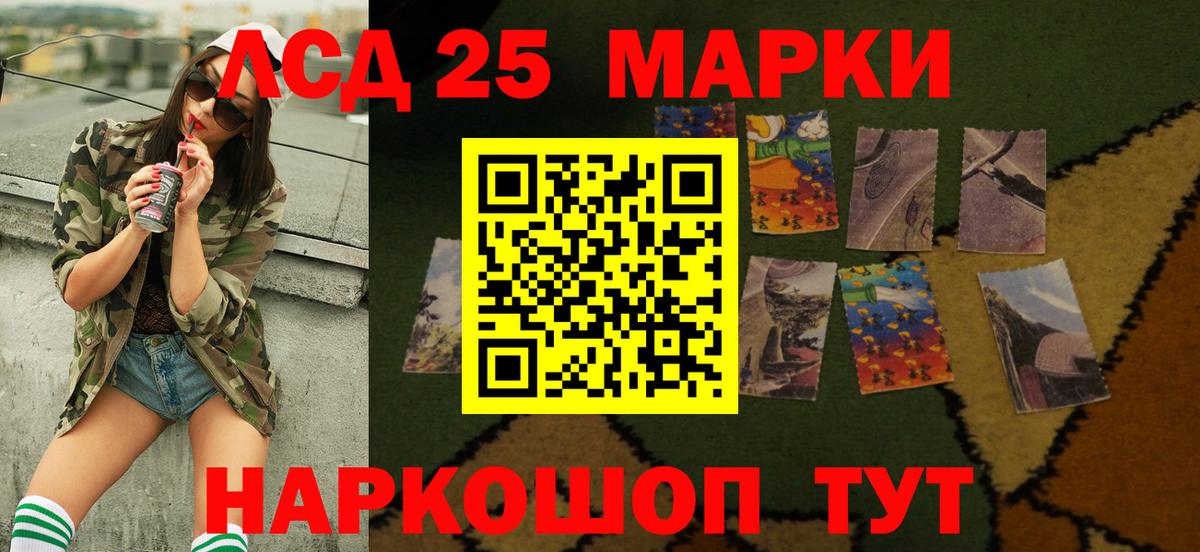 Бошки Шишки Гатчина