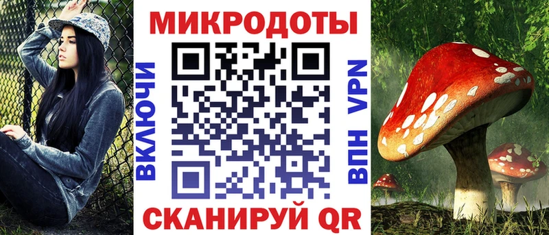 Галлюциногенные грибы Psilocybine cubensis  купить наркотик  Гатчина 
