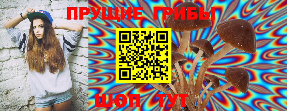 Галлюциногенные грибы Magic Shrooms  купить наркотики цена  Гатчина 