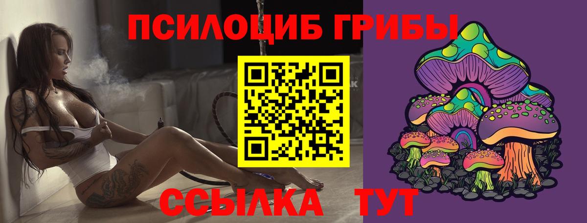 Гатчина  Галлюциногенные грибы Psilocybe  Вход с VPN  Галлюциногенные грибы ЛСД 