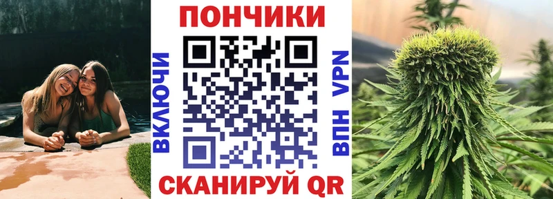 Шишки марихуана планчик  Гатчина 